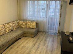 Pantelimon, Piata Delfinului